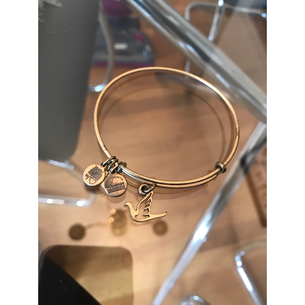 Alex and Ani Dove bangle
